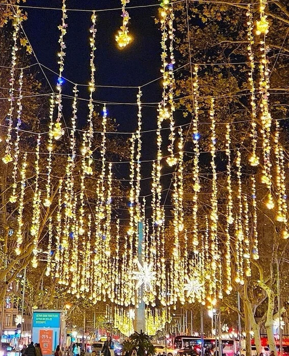 画像242