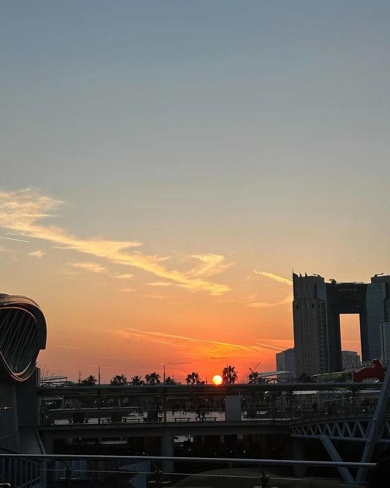 画像299