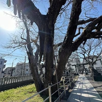 画像389