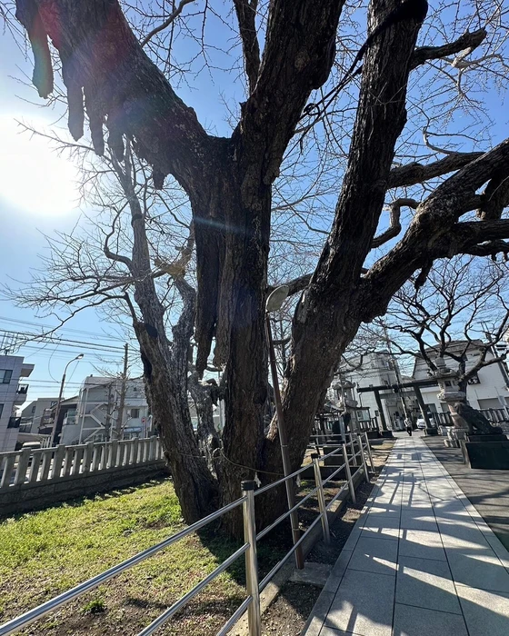 画像389